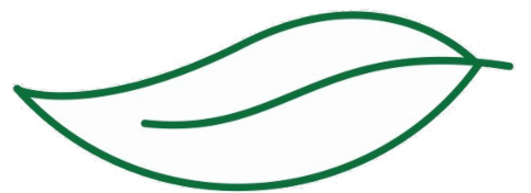 Embroidery Design