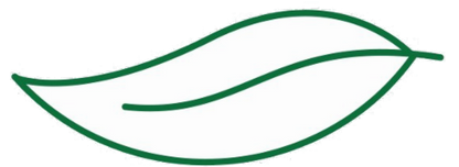 Embroidery Design