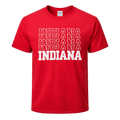 Indiana Stacked with State Pride