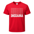 Indiana Stacked with State Pride